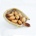 Wholesale Agriculture Products Pecans Nut snacks